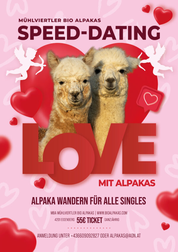 Bio Alpakas, Alpakawanderungen, Bio Alpaka Produkte, Oberösterreich, Eidenberg