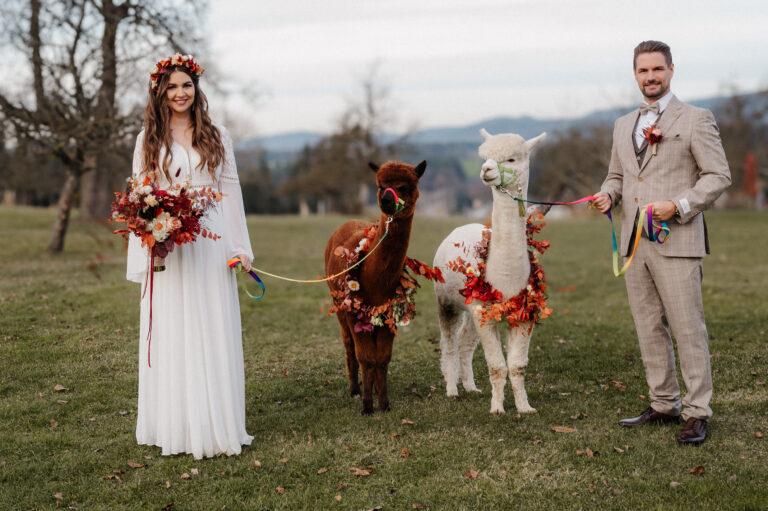 alpaka auf deiner hochzeit